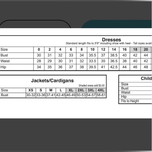 Velvet Flocked Chiffon Bodice with Crape Back Satin Skirt Formal Maxi Dr… - Picture 16 of 16